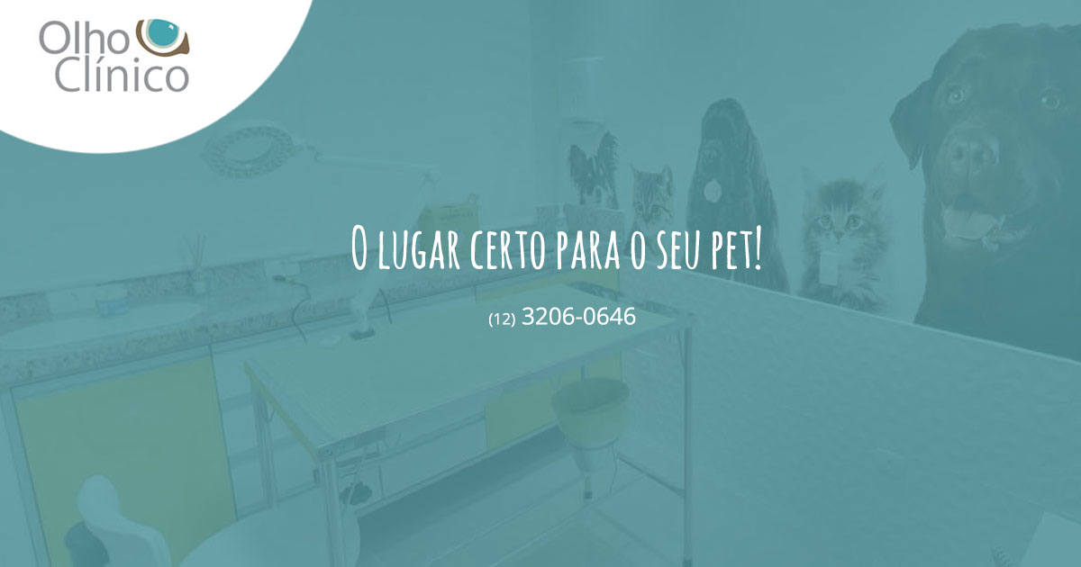 Olho Clinico Ltda
